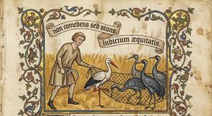 The Farmer and the Stork