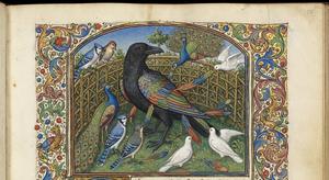 The Crow and the Birds