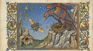 The Eagle and the Beetle