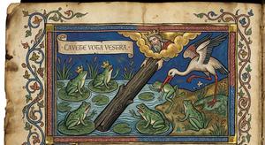 The Frogs Desire a King