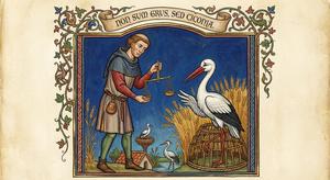 The Farmer and the Stork