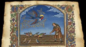 The Swallow and the Other Birds